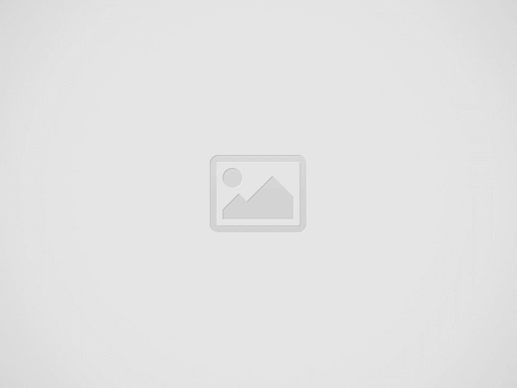 Test articolo lungo