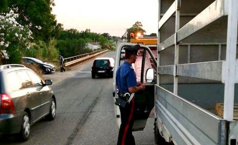 Ciclista investito e morto a Briatico: una condanna in Tribunale a Vibo